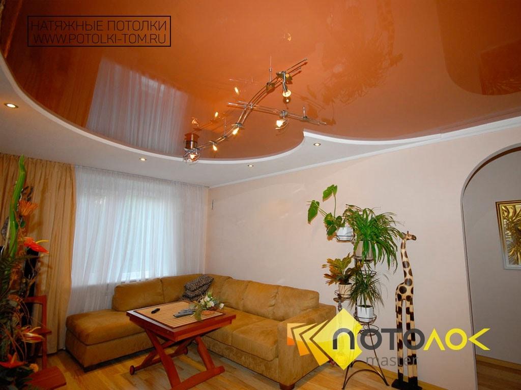 Натяжные потолки фото для гостиной 